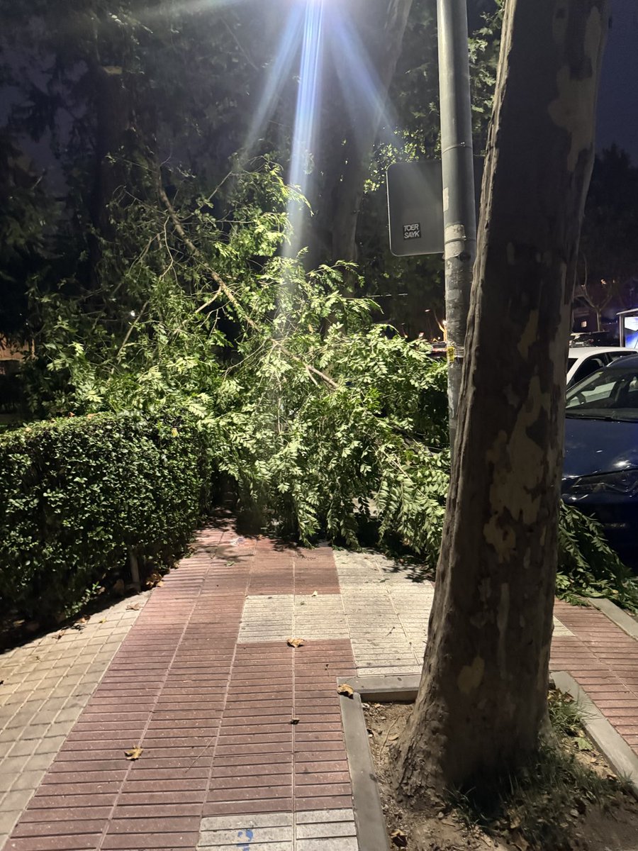La Negreira League (@craneorojo4) on Twitter photo <a href="/sansecomunica/">Ayuntamiento de San Sebastián de los Reyes</a> acera cortada en la avenida de La Sierra a la altura del número 10, <a href="/SanseQuejas/">Sanse_quejas</a> <a href="/sansecomunica/">Ayuntamiento de San Sebastián de los Reyes</a> acera cortada en la avenida de La Sierra a la altura del número 10, <a href="/SanseQuejas/">Sanse_quejas</a>