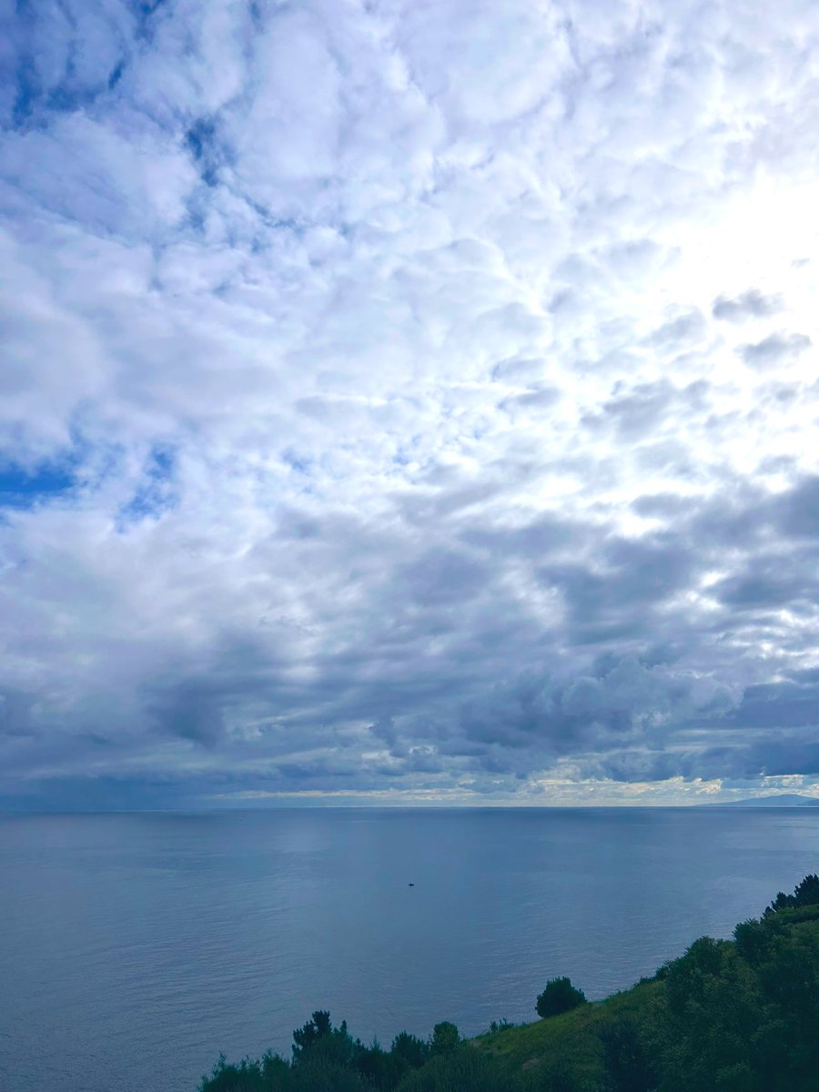 «Que exista la gente si quiere,
y después que se muera uno tras otro,
poco les importa a las nubes
esas cosas
tan extrañas».

🖊️Wisława Szymborska | “Las nubes”