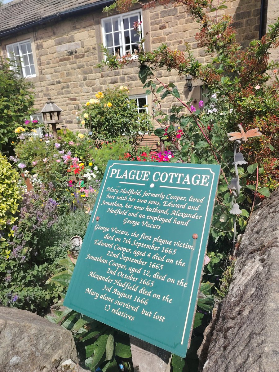 Laura Jacqueline tweet media