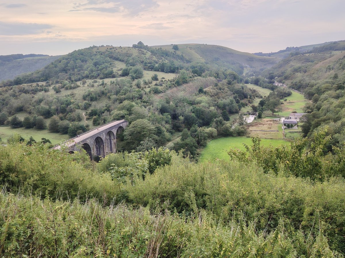 Laura Jacqueline tweet media