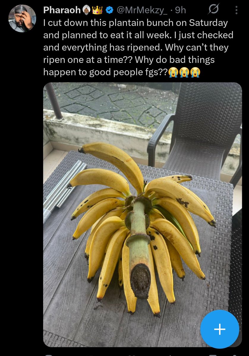 See this Chukwuemeka Odumegwu OJukwu