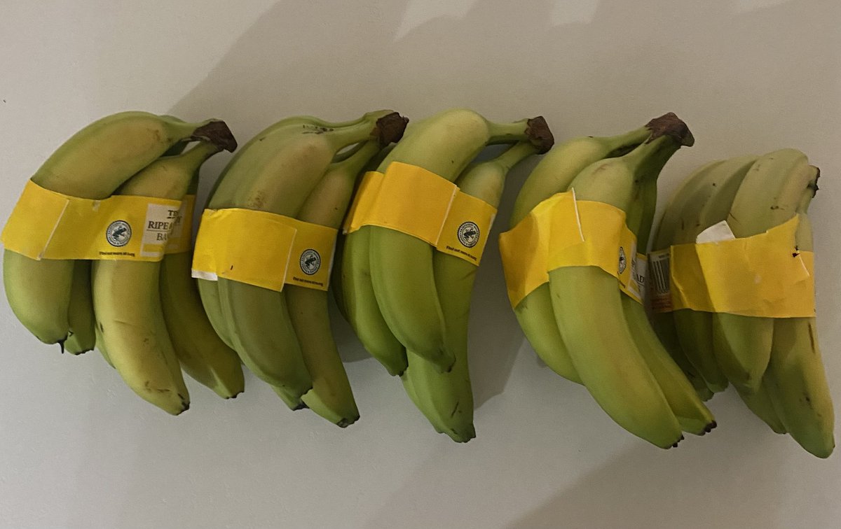 Thought I’d ordered 5 bananas but I’d actually ordered 5 x 5 bananas. Oops. Other half hasn’t stopped laughing.