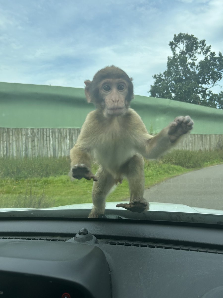 Miss Sneddon tweet media