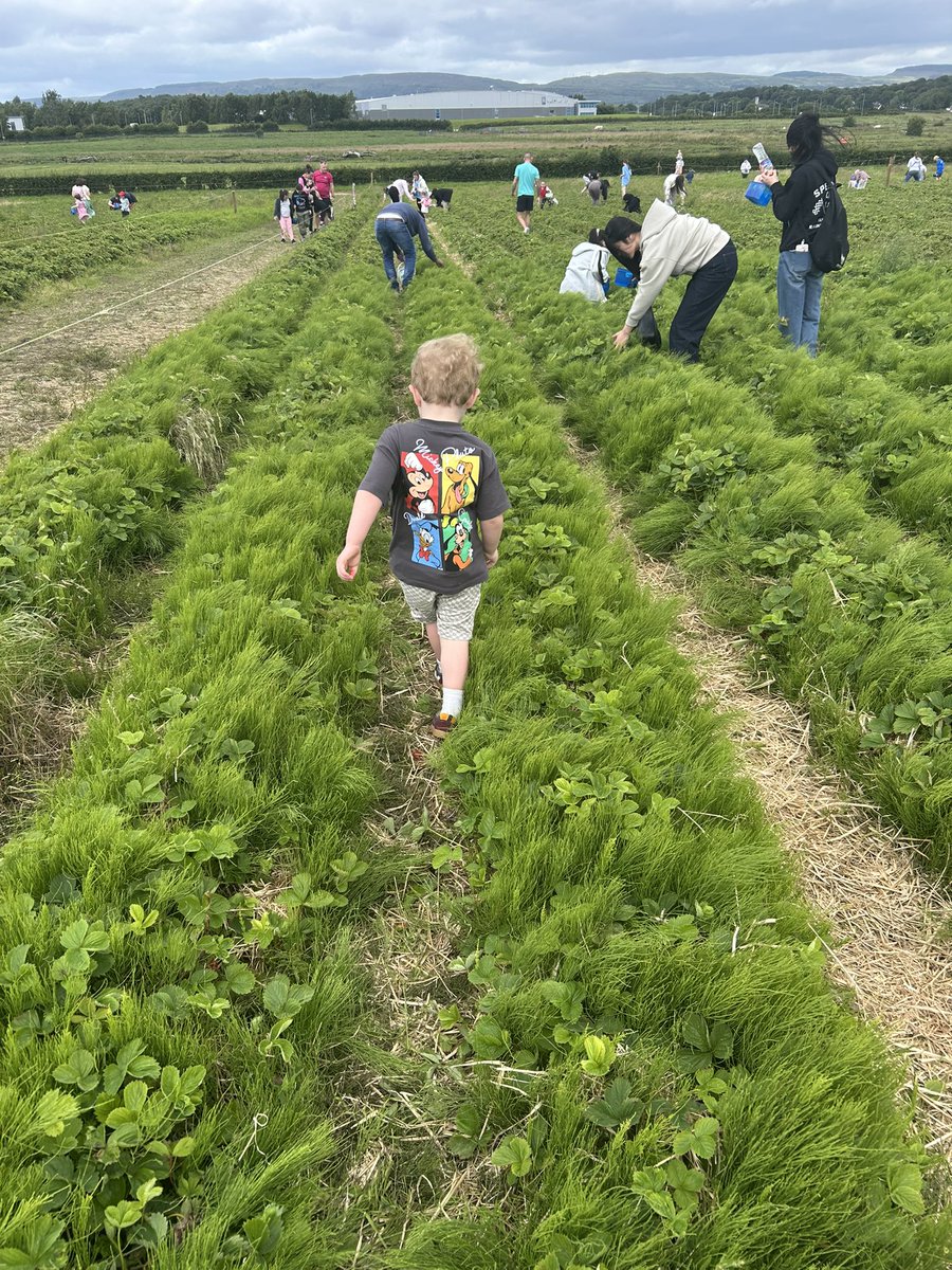 Miss Sneddon tweet media