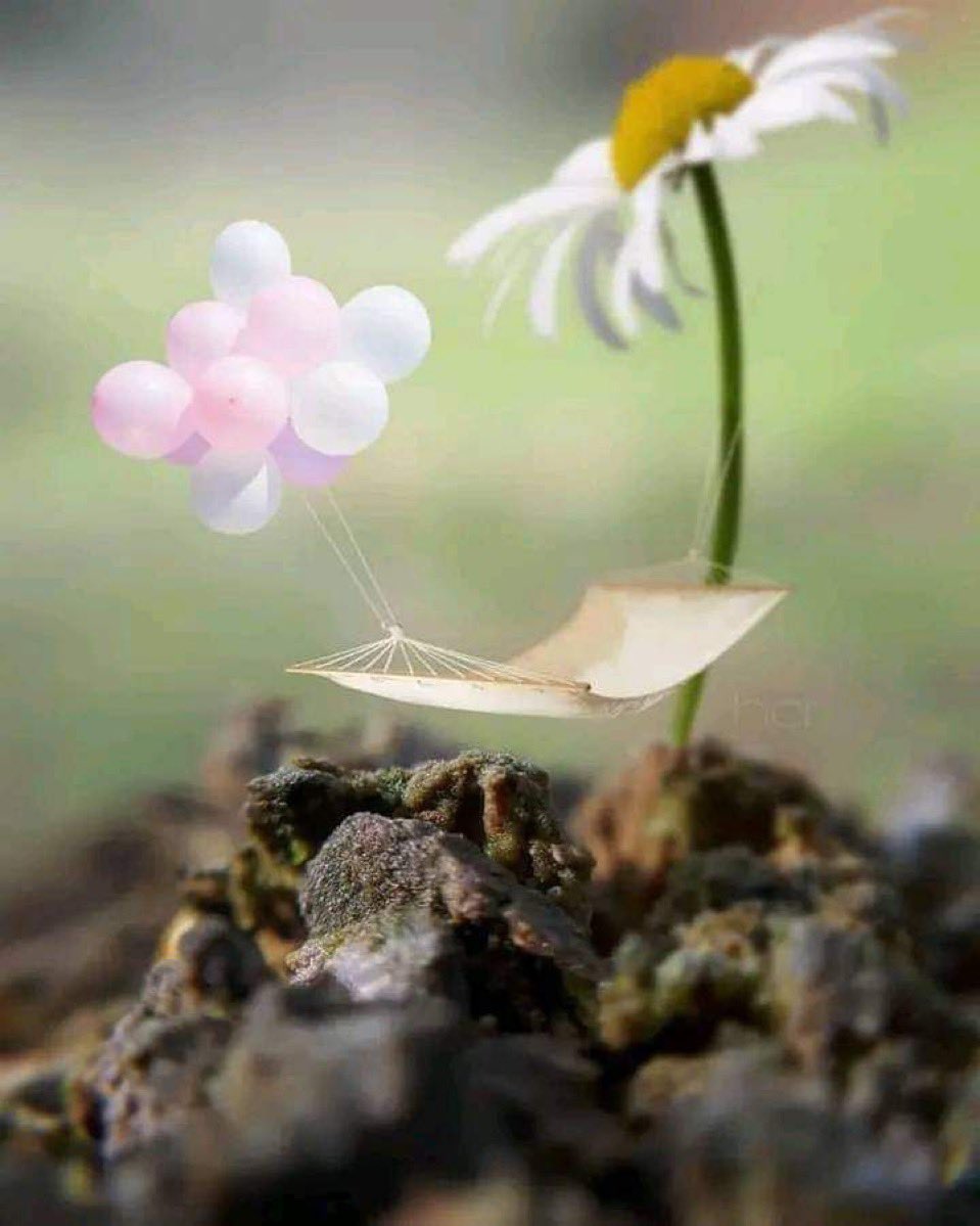 فكرة (@fik_ra2) on Twitter photo 