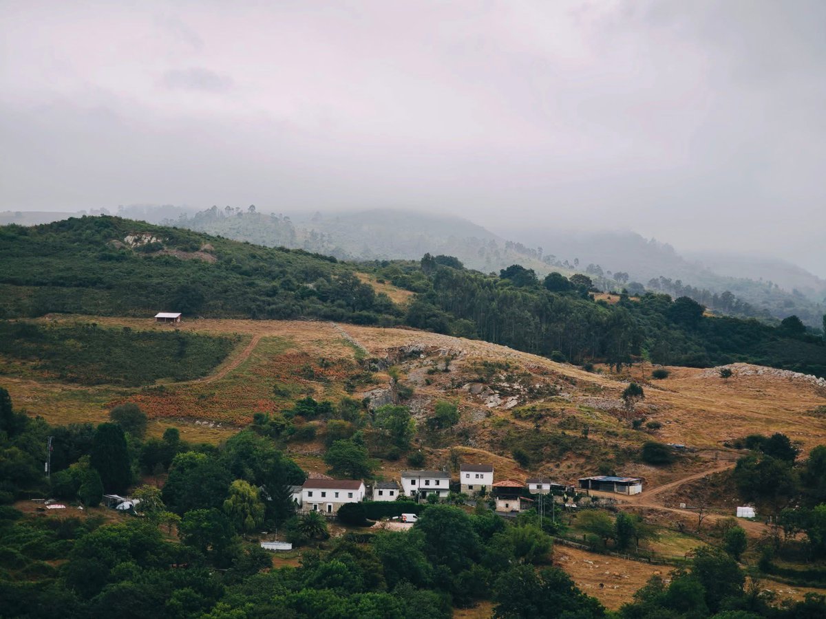 venedictc's tweet photo. Day 1 
The first day was a memorable one! A thick and mystical fog covered the hills we were walking on. This enigmatic scenery was completed by a gentle horses gaze and some soft flowers. 
Location: Ovideo -> Escampero

@Xiaomi
#XiaomiCreators #Xiaomi15Ultra https://t.co/jXMQjItLjz
