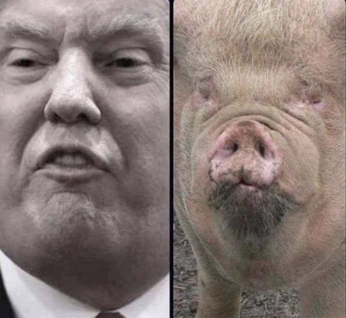 Heard someone saying:
"They are the same"