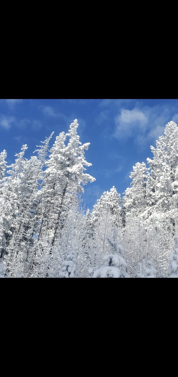 JKRobertson6's tweet photo. For those of you suffering in the heat. Days like this are only three months away! https://t.co/hu2pL8xRoK