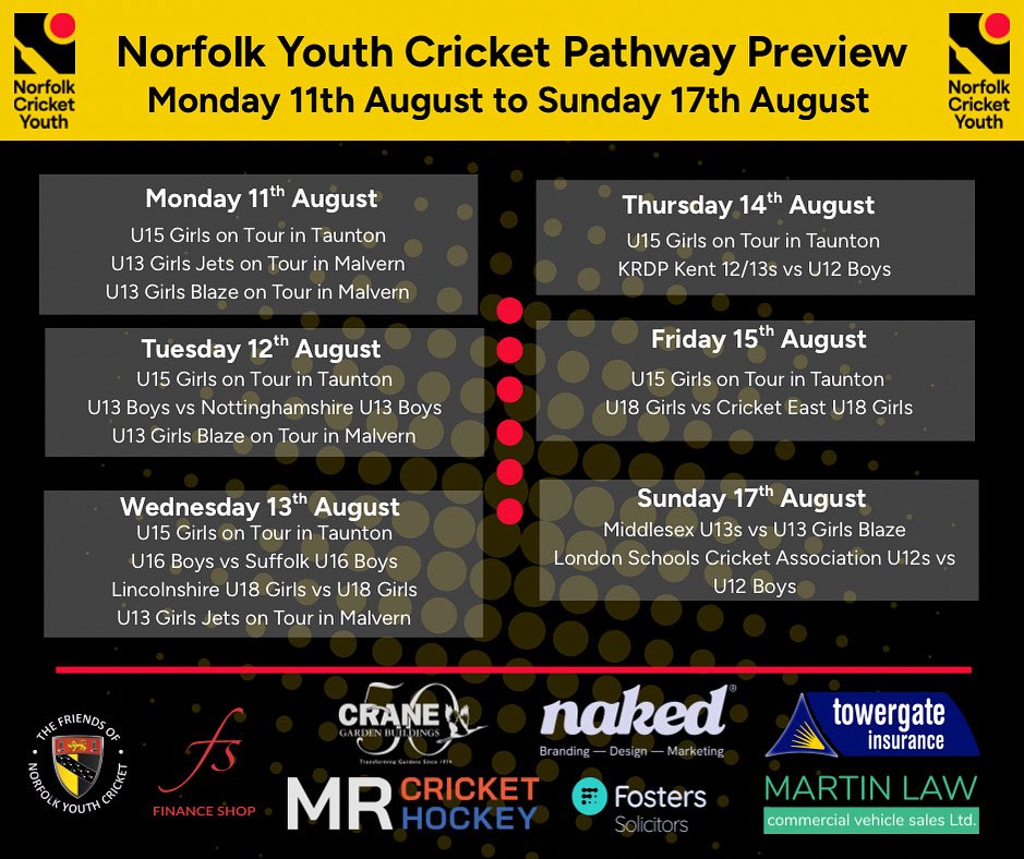 Norfolk Cricket Pathway tweet media