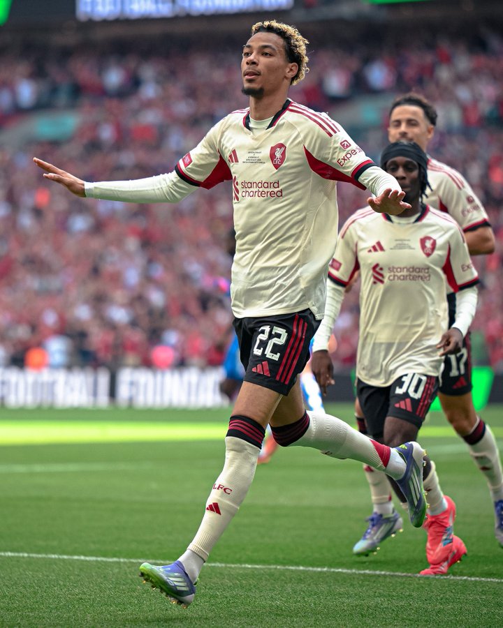 🚨🚨LIVERPOOL FANS GAIN TRAIN

No Liverpool fan should have less then 1000 followers!

Drop your handles

Follow me <a href="/Lfc_Cody18/">GaKpo era 🇳🇱</a>

Repost ♻️

Let's keep growing together!🔴❤️❤️❤️