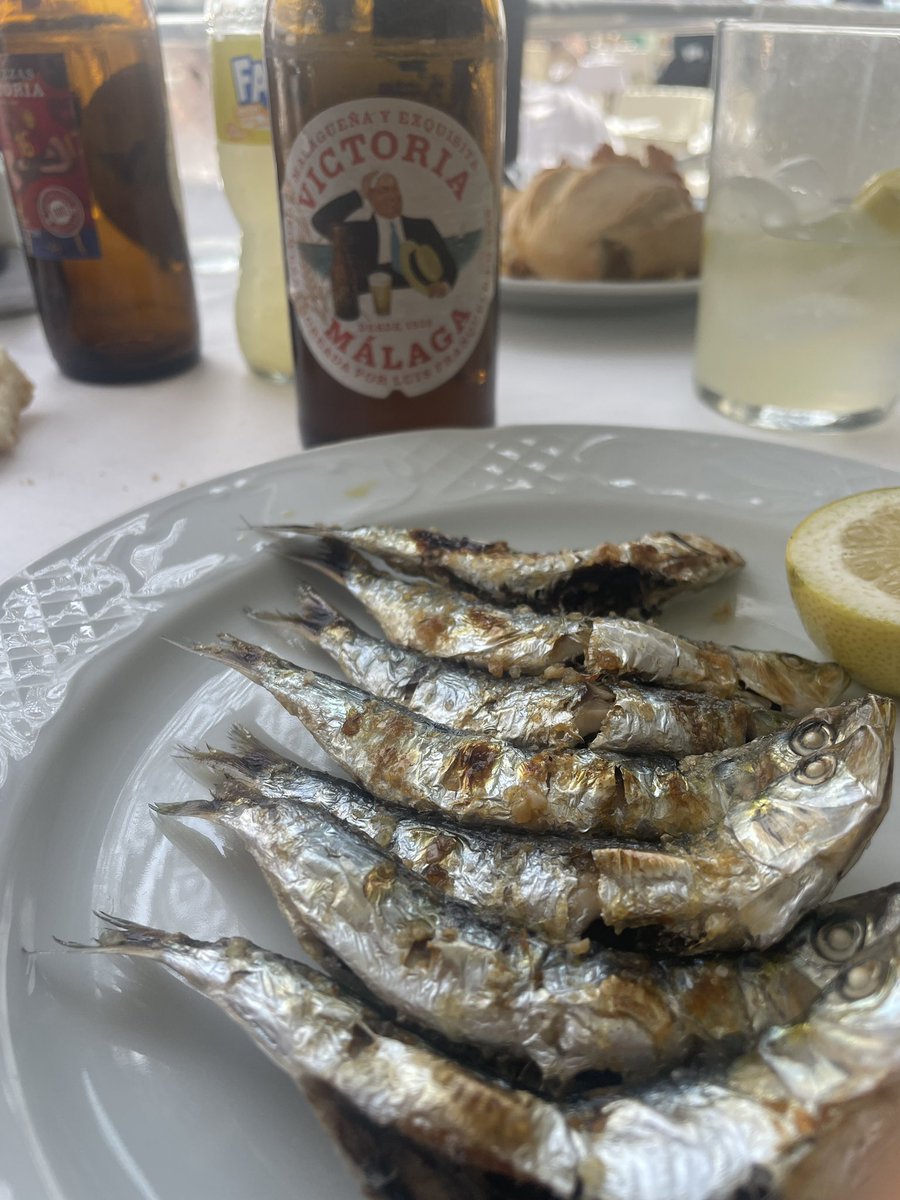aguamarinatwit's tweet photo. @Storm_Malaga @CervezaVictoria https://t.co/xQhS9ZqoB6