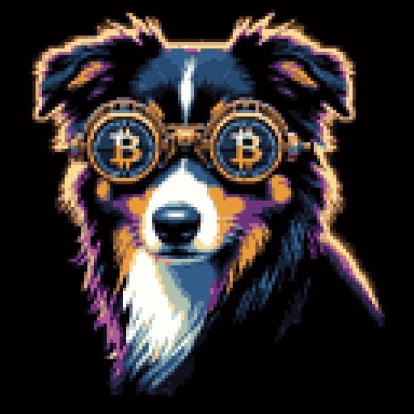 BitShades Dogs :: Celebrating Man's Best Friend tweet media