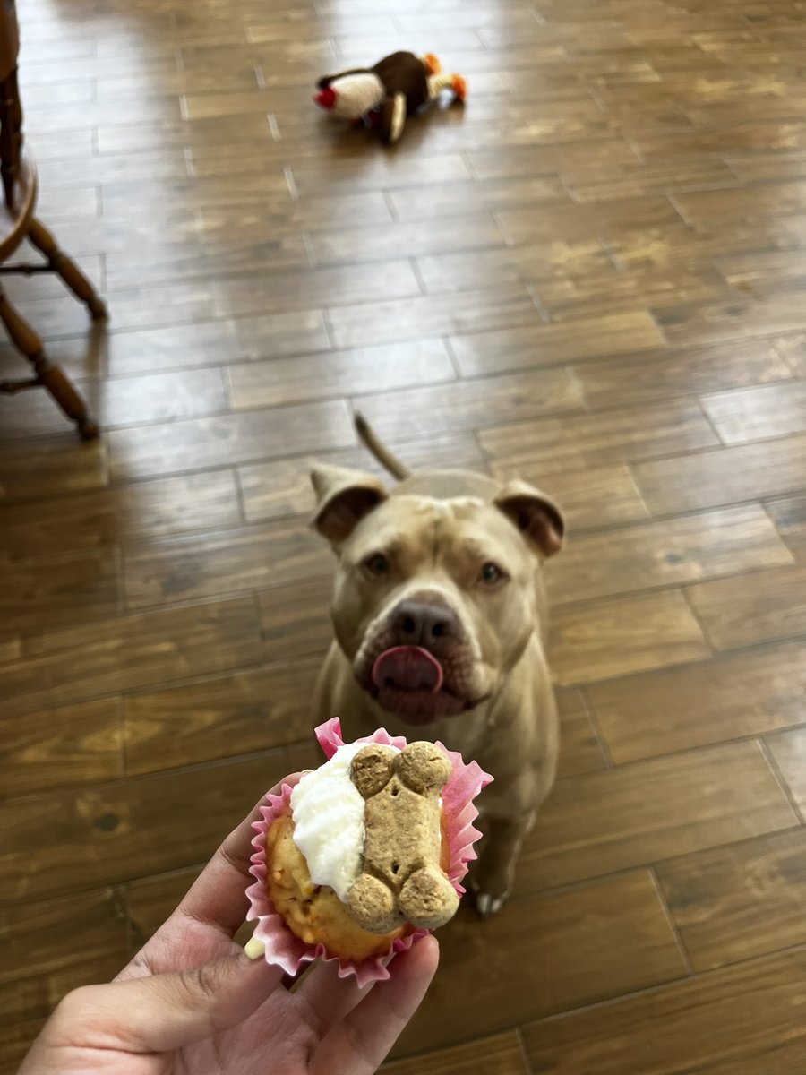 margo_gom's tweet photo. Mi gorda cumple años hoy 🧚🏻‍♀️ https://t.co/ahJtRrl3Zk