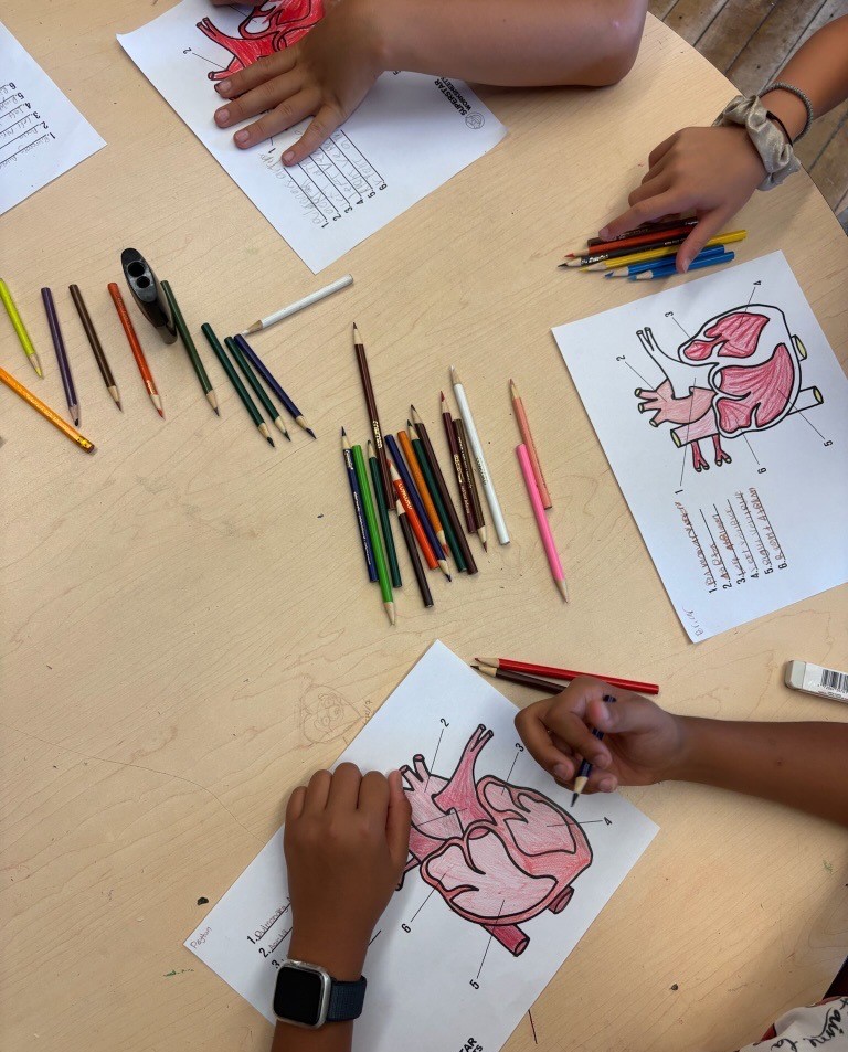 UHN STEM Pathways tweet media