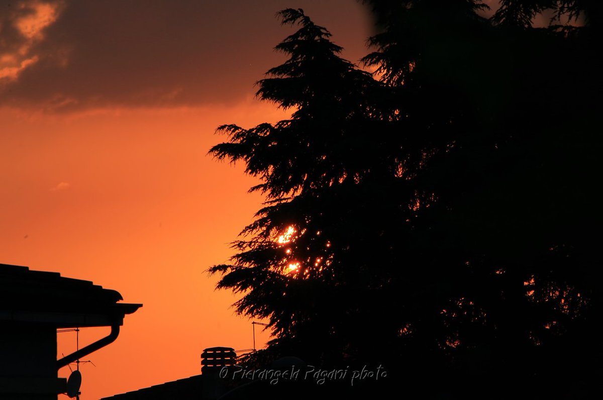 @ferrarisergio4 tweet media