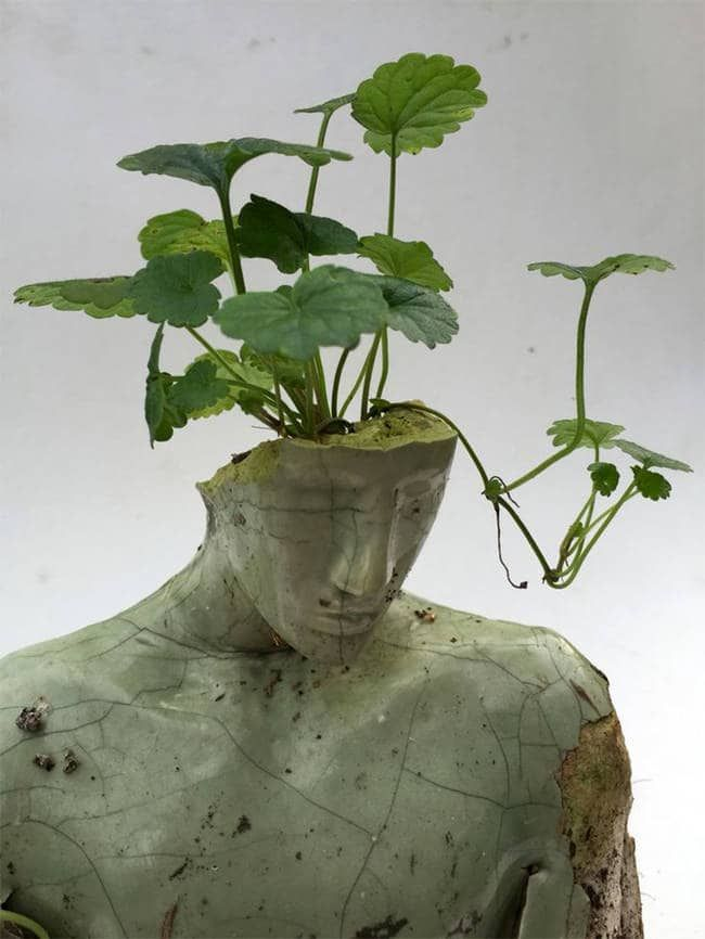 loreArcadiaRP's tweet photo. ⸺ 𝐃𝐚𝐟𝐧𝐞. — El laurel.

Mortal.
— Maldecida por Apolo, puede trasformar su cuerpo en plantas a su antojo
— Las plantitas le salen de las manos y puede hablar con ellas https://t.co/AIwNLMHHaW