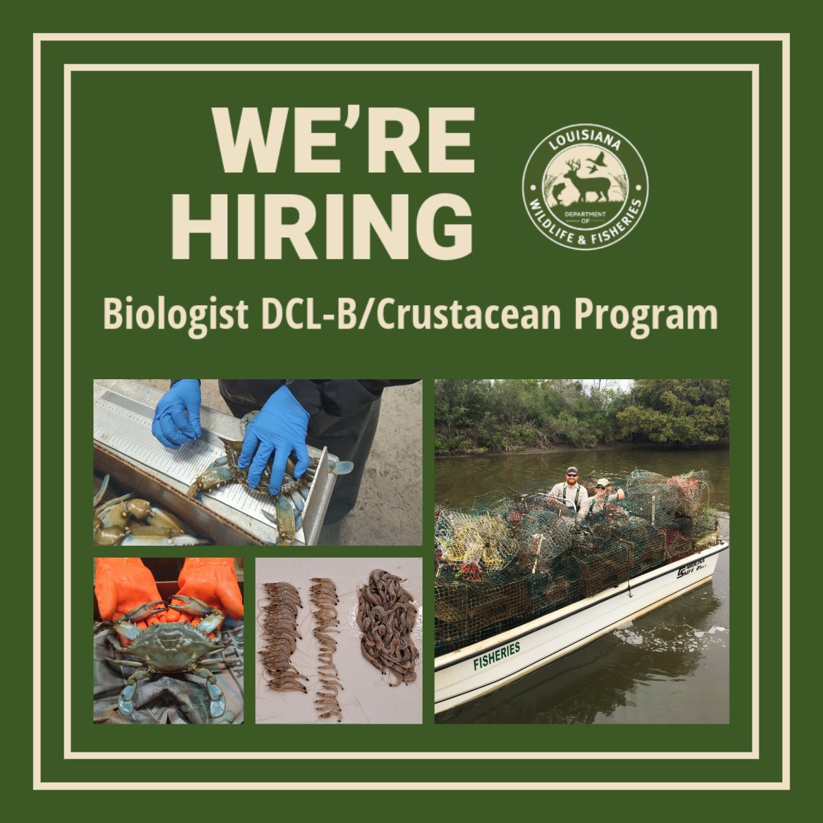 LaWildlife&Fisheries tweet media