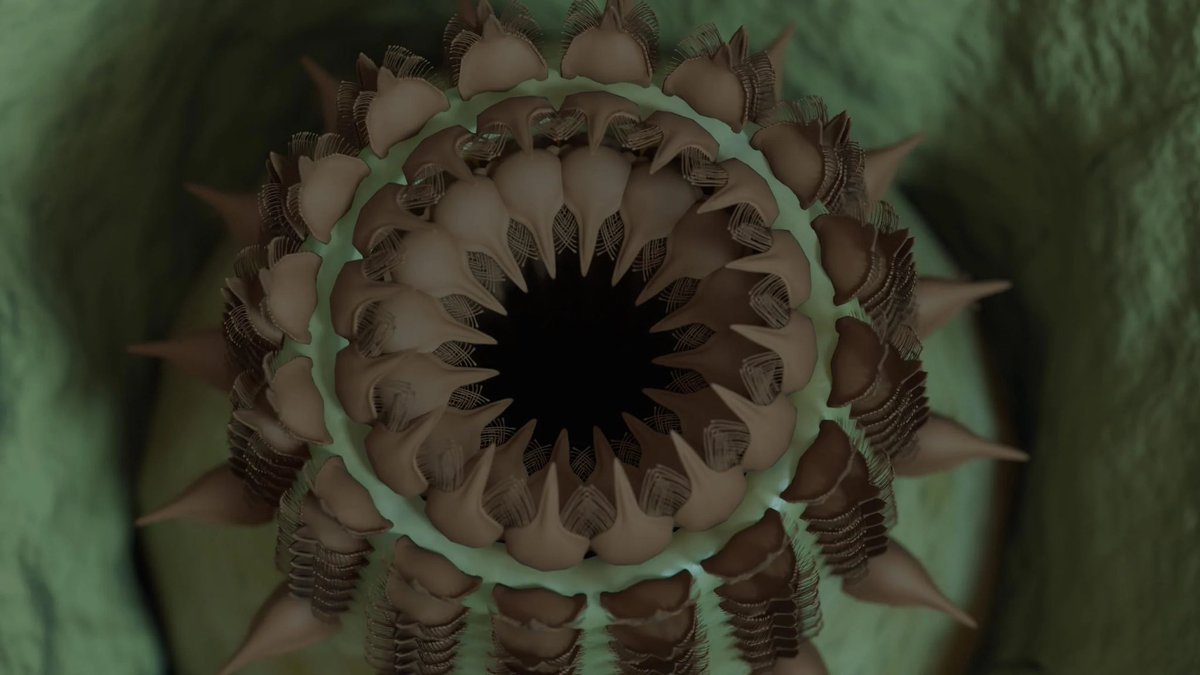 A newly discovered 500 million year old worm fossil from the Grand Canyon has been named Kraytdraco spectatus, after the Krayt Dragon from Star Wars. 

(Source: nationalgeographic.com/science/articl…)