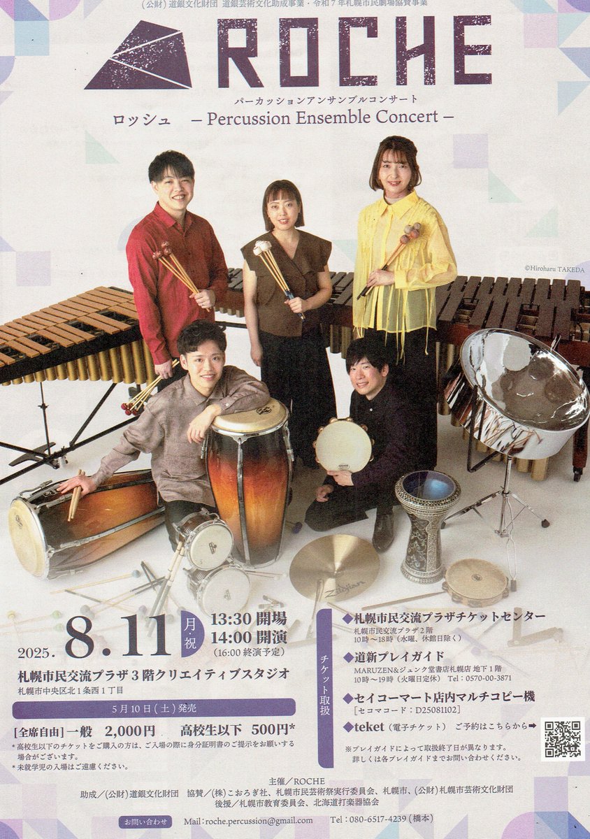 日本古来の琴♫桐木/ 程度良好 河北省制特氏古夷苏木琵琶考级用DJ13X梧桐木琴弦下有余乐器入门进阶