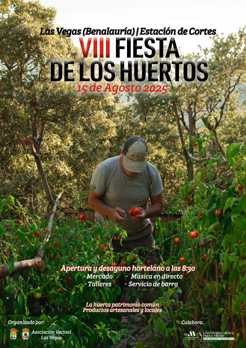 Ayto. Benalauría tweet media