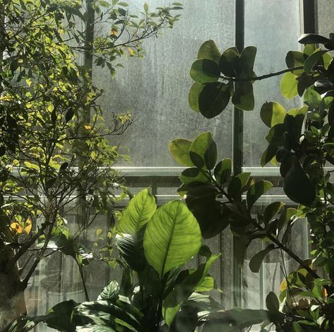 loreArcadiaRP's tweet photo. ⸺ 𝐃𝐚𝐟𝐧𝐞. — El laurel.

Mortal.
— Maldecida por Apolo, puede trasformar su cuerpo en plantas a su antojo
— Las plantitas le salen de las manos y puede hablar con ellas https://t.co/AIwNLMHHaW