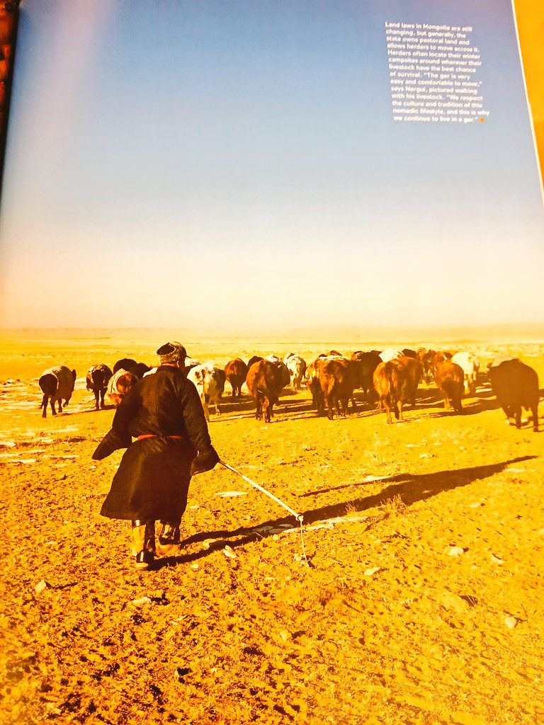 Dwell cэтгүүлд энэ сарын дугаарт орон орны уламжилалт оронсууцны тухай танилцуулгад Монгол гэрийн талаар нийтлэгдсэн бна ..#судалбар