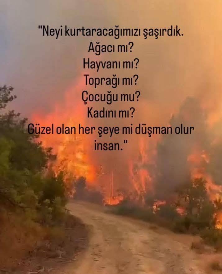 Doğan Yılmaz (@sosyalist_adam4) on Twitter photo 