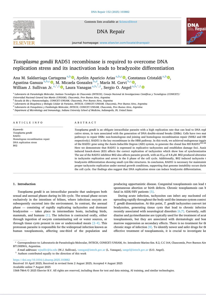 Maria Corvi tweet media