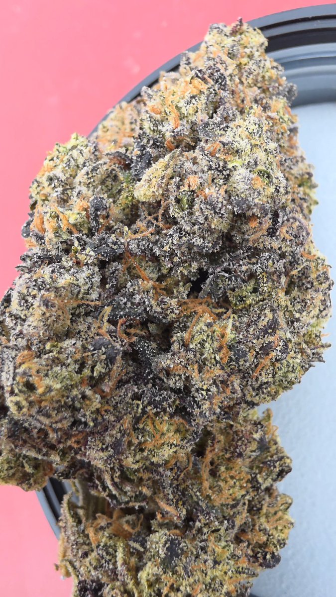 Riddallar*x Rare Candi*

*Riddallar
(Red Velvet x E85 x Doggy Bag)

*Rare Candi (Project 4516 x Zkittlez)

Deeper look into Riddallar lineage - 

-Red Velvet - Lemon Cherry Gelato x Pina Acai

-E85 - Lemon Cherry Gelato x Runtz

-Doggy Bag - Original Z x Project 4516