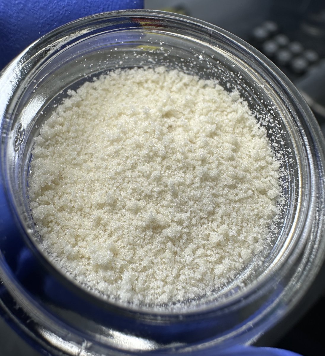 terpsoveryields tweet media