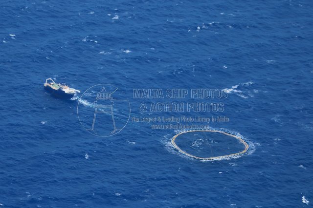 Shipguru's tweet photo. #birdseyeview of #tunisian #sterntrawler #EMIR #towing #tunacage during #bluefintuna #season at the #mediterraneansea -14.06.2018 - https://t.co/nfgboxc3g3 - NO PHOTOS can be used or manipulated without our permission @FAOfish @EFCA_EU @EufaFisheries @EAPO_EUfishPOs @ShipNews https://t.co/m3aH3T9sPS