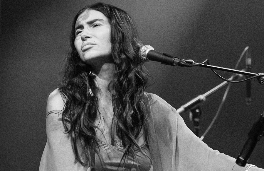 Nectar | Seattle tweet media