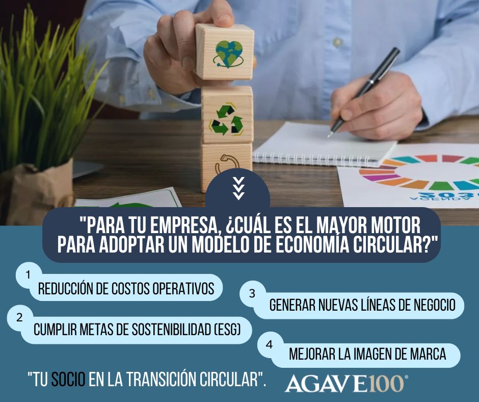 Agave100_mx's tweet photo. ♻️ La economía circular es clave para el éxito empresarial hoy. ¿Tu prioridad es optimizar costos, cumplir ESG, innovar o mejorar reputación?
En AGAVE100 transformamos y  te ayudamos a lograr todas esas metas al mismo tiempo, reduciendo residuos y fortaleciendo tu negocio. https://t.co/59mTA48AG0