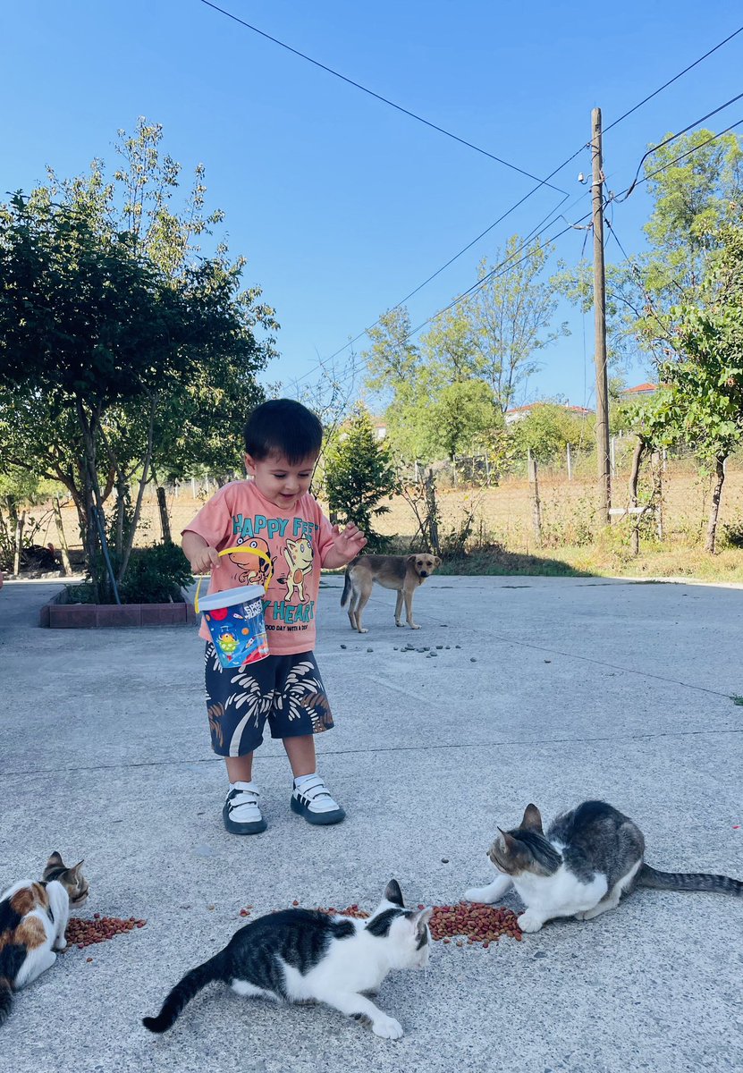 Beybiyağğın köy günlüğü 🐕 🐈 🌳 ☀️