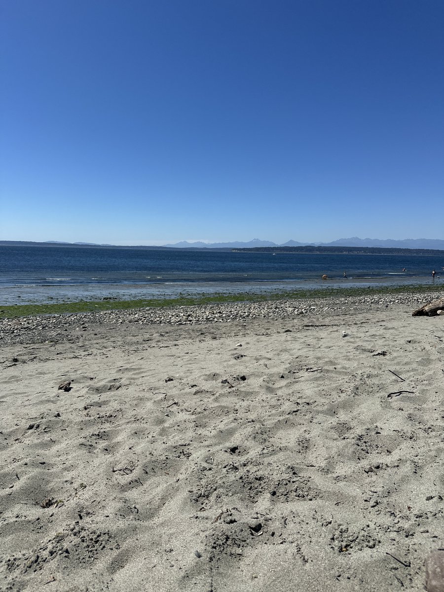 You literally CANNOT beat summers in Washington 🔥🏔️🤘🏻