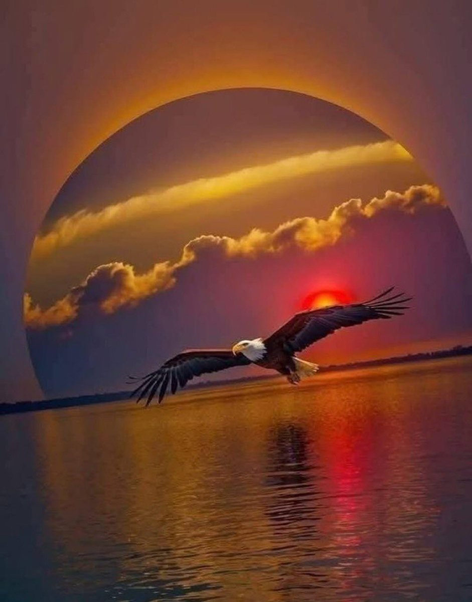 كم اود الرّحيل 
الى مكان يتنفّس الهُدوء و السّكون !
ولحظة هدوء 
إلى هدنة مع الحياة 
إلى صمت يكتم ضجيج الروح 
وعزلة  🍃 نعيد فيها حساباتنا 
 وتسكن أرواحنا المتعبه  
 ونستعيد احلامنا الضائعه.!