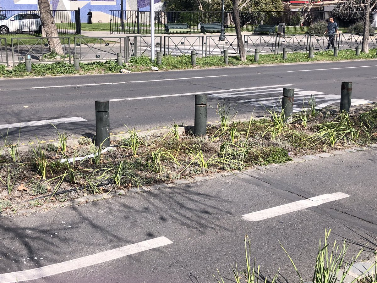 magubkn's tweet photo. @Muni_provi @jaimebellolio a esto le llaman "JARDIN" sustentable? cómo puede ser que tengan así de destrozadas las plantas, es criminal lo que está haciendo sacando el pasto y dejando todo de piedras, las vecinas exigimos una respuesta https://t.co/gudaC36SEY