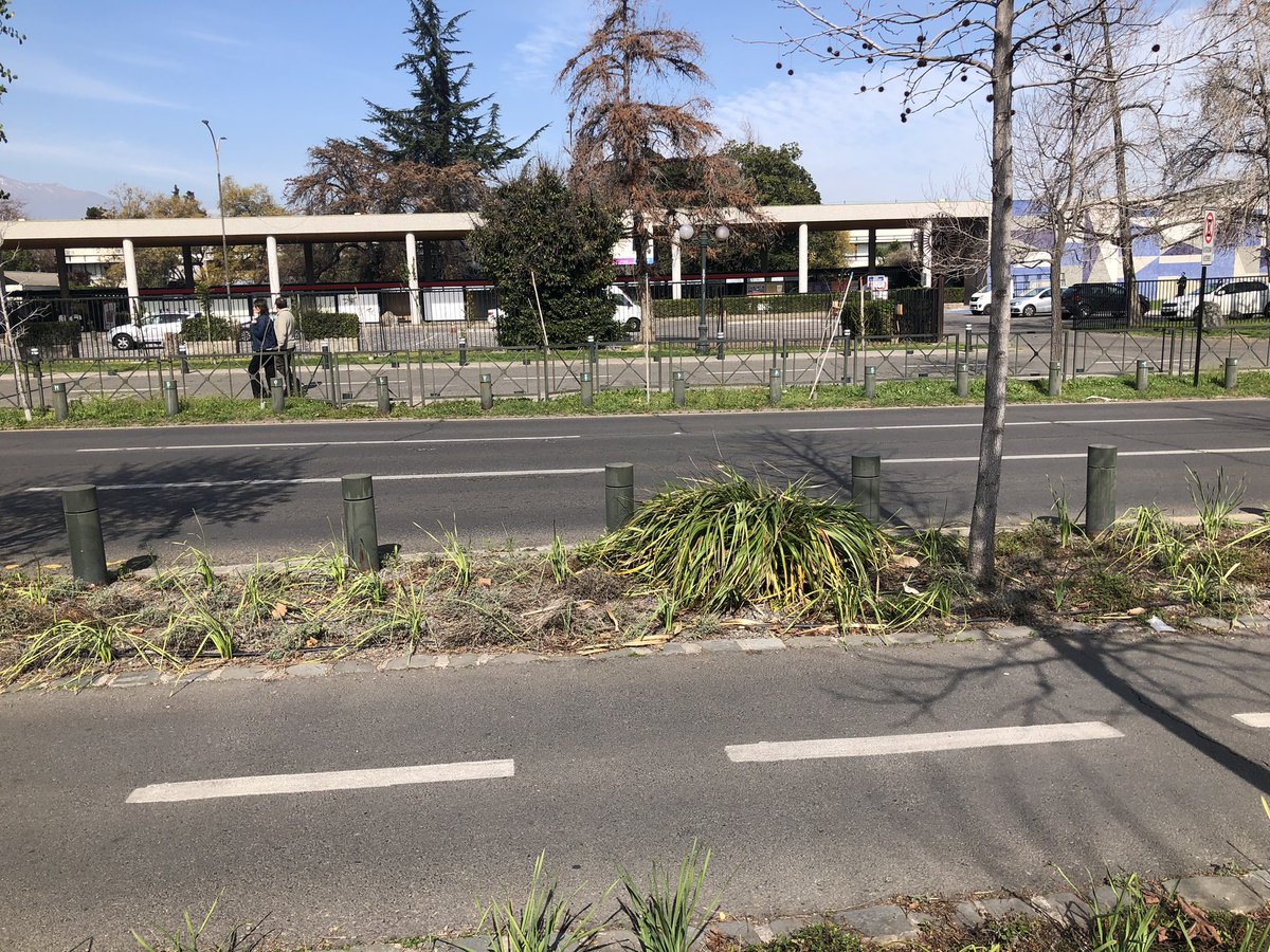 magubkn's tweet photo. @Muni_provi @jaimebellolio a esto le llaman "JARDIN" sustentable? cómo puede ser que tengan así de destrozadas las plantas, es criminal lo que está haciendo sacando el pasto y dejando todo de piedras, las vecinas exigimos una respuesta https://t.co/gudaC36SEY