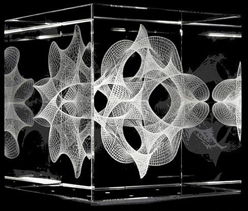 Gaston Giribet tweet media