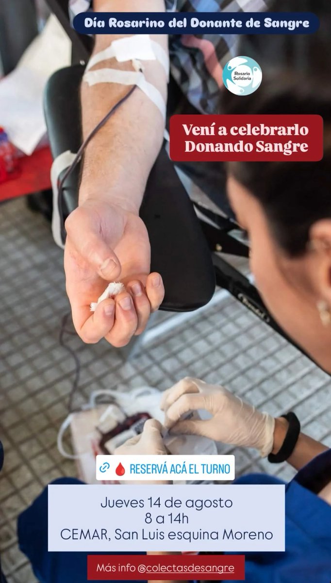 𝘙𝘰𝘴𝘢𝘳𝘪𝘰 𝘚𝘰𝘭𝘪𝘥𝘢𝘳𝘪𝘢 tweet media