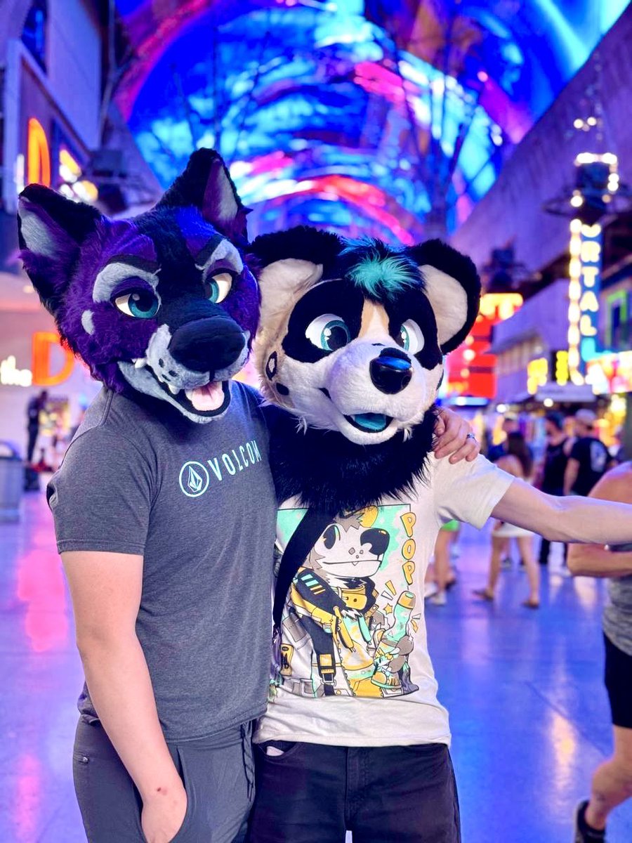 All Bark No Bite! tweet media