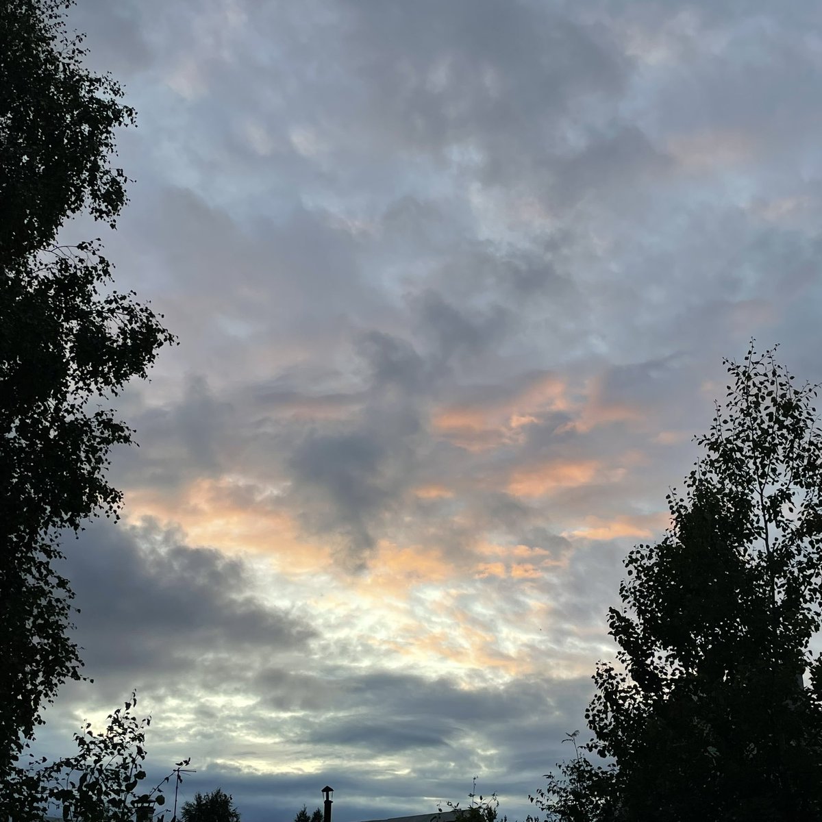 мне очень хочется вернуться в тви но я чувствую себя так одиноко ведь потеряла контакт с этой соц сетью и я без понятия с чего вообще начать но вот держите нашу дачу