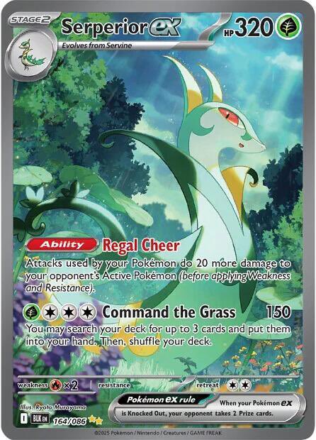 Pokedex Pulls tweet media