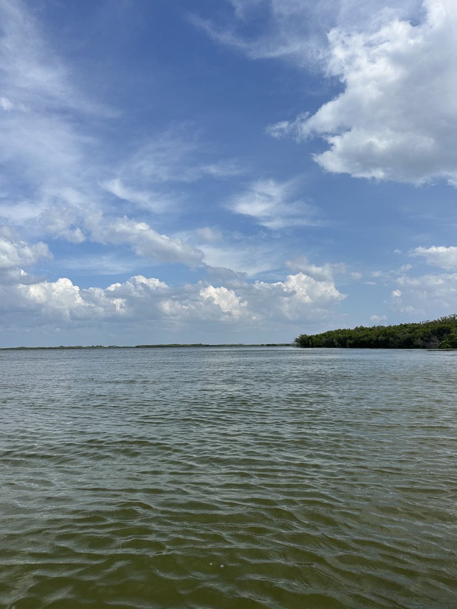 BoyetteTodd's tweet photo. My case of the Mondays. 🏝️#flogrown https://t.co/eTfcmU4fat