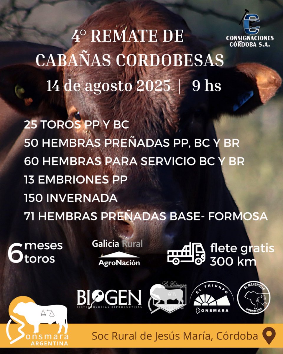 Asoc Arg Bonsmara tweet media