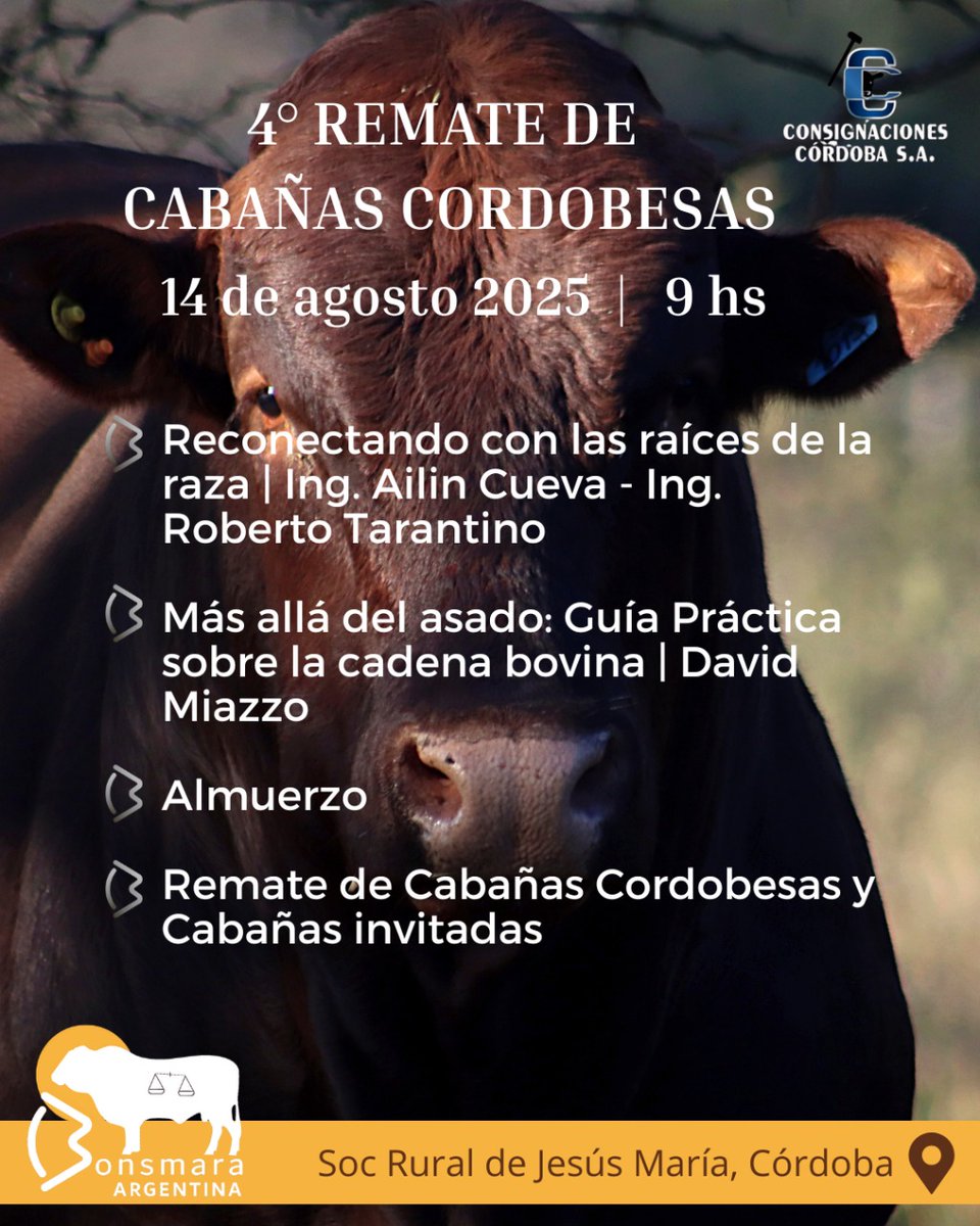 Asoc Arg Bonsmara tweet media