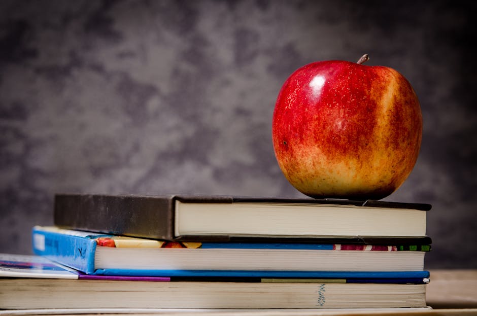 We are excited to welcome everyone back!
Please read this Welcome back Letter from Dr. Durant.
Elementary - ow.ly/3phl50WE8Gc
High School - ow.ly/emgH50WE8Gb
Thank you and have a great day!

#TPSProud
🟥🟦🟩🟨