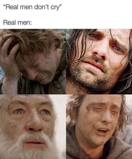 I will not say ‘do not weep,’ for not all tears are an evil.