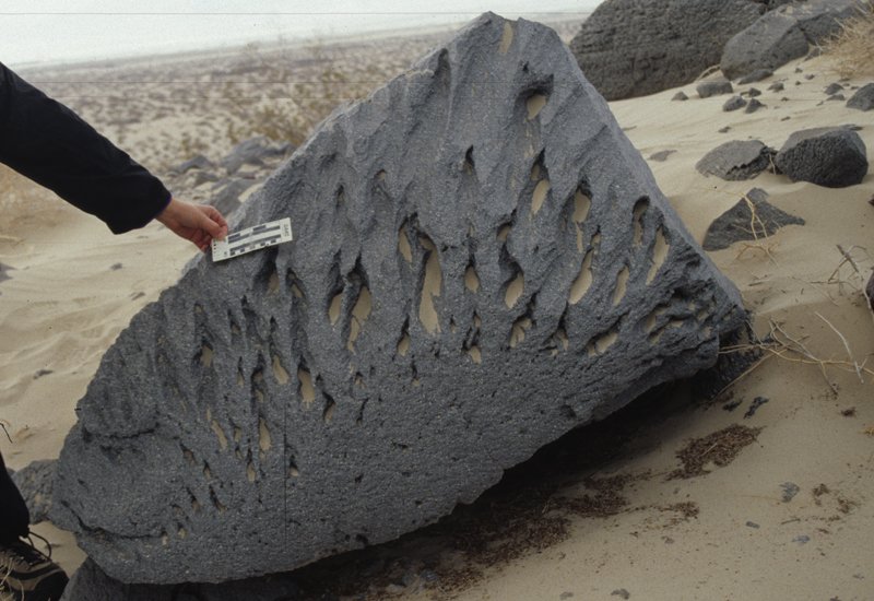 𒂍 (@from_sumer) on Twitter photo 