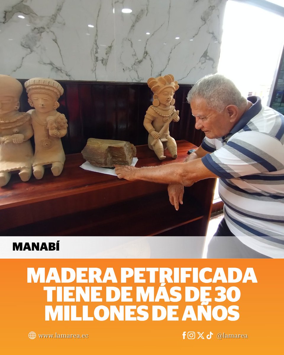 #Actualidad | Este cantón de #Manabí, es el segundo de Ecuador donde existe este tipo de madera >>> ow.ly/2guz50WE8J8